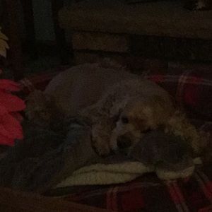 Meet your Posher, Kathryn